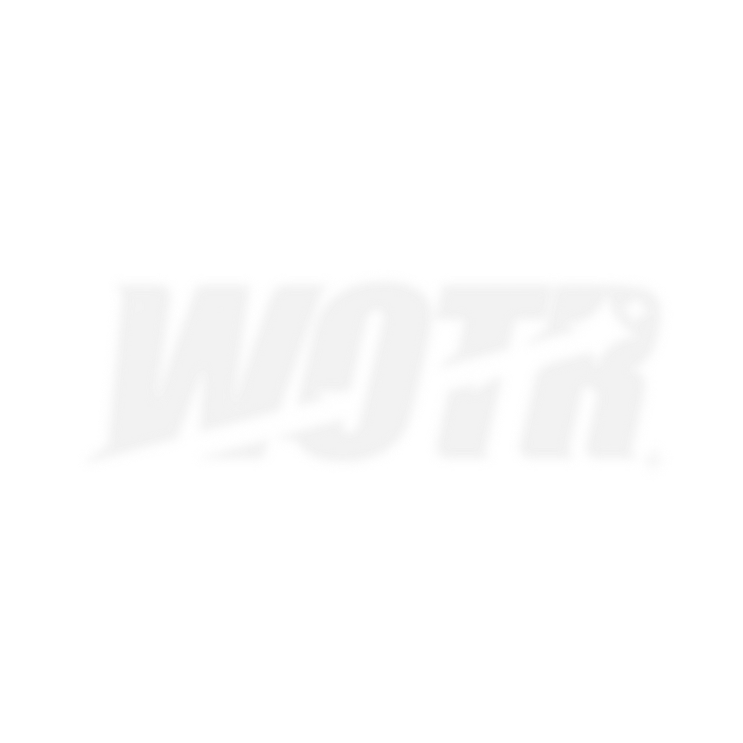 WINDSCREEN DECAL „logo“